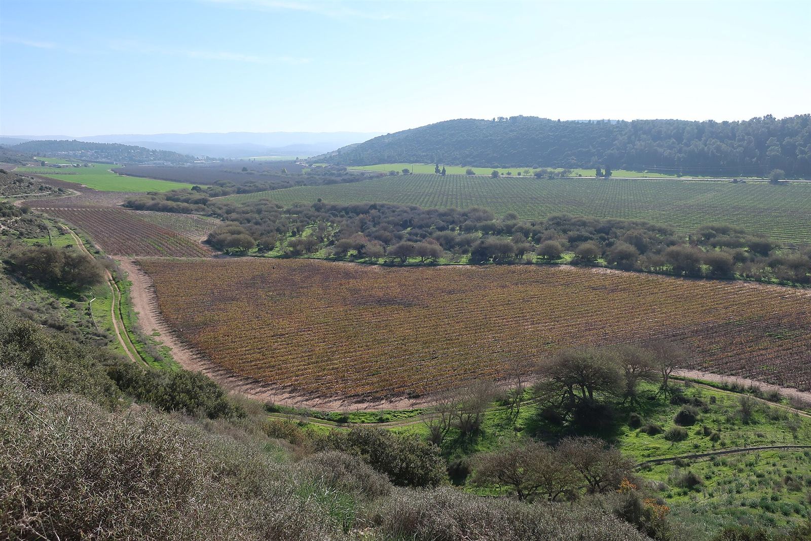 The Valley of Elah at dusk, where Goliath stood
